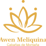 LOGO AWEN MELIQUINA