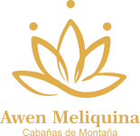 LOGO AWEN MELIQUINA
